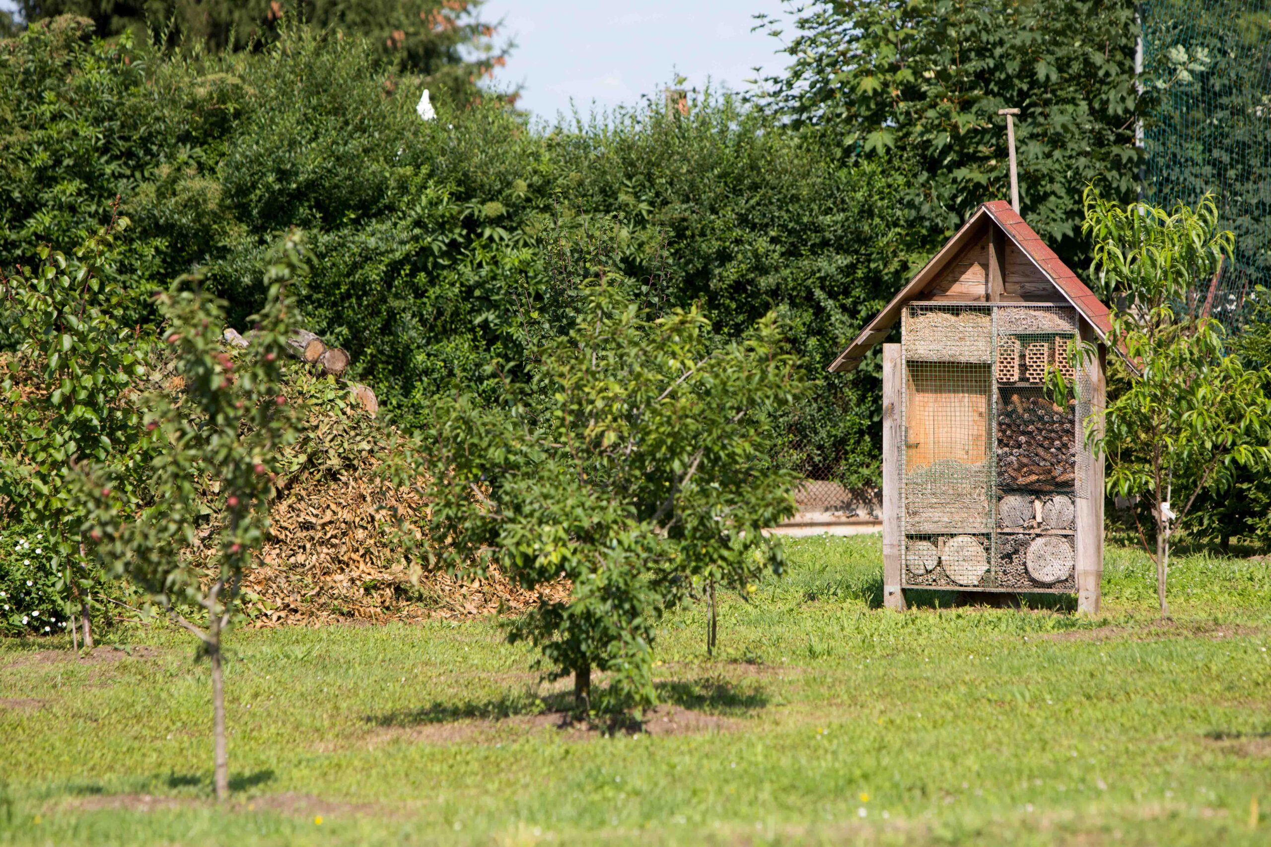 Gärtnerei und Baumschule Nauen Markee Insektenhaus